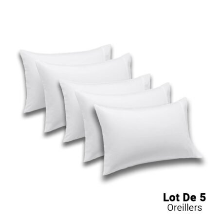 Lot de 5 Oreillers Orthopédiques Top Qualité Lavable