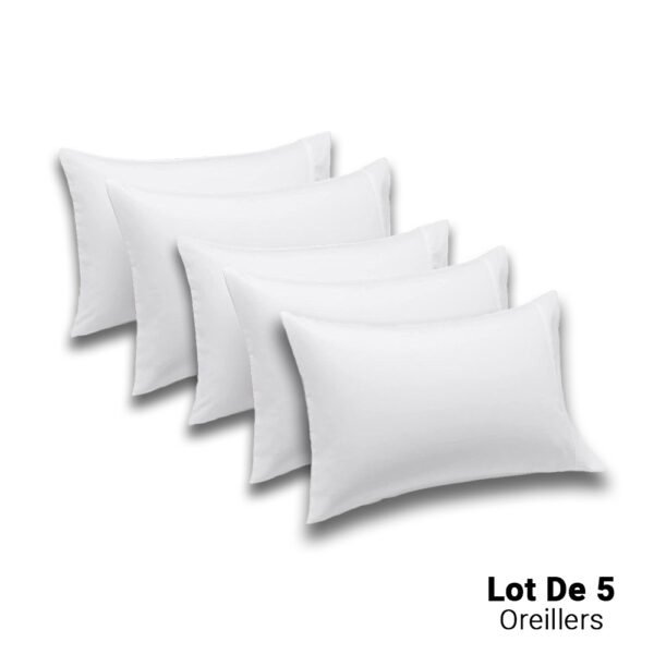 Lot de 5 Oreillers Orthopédiques Top Qualité Lavable