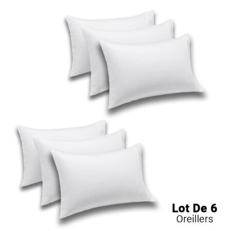 Lot de 6 Oreillers Orthopédiques Top Qualité Lavable