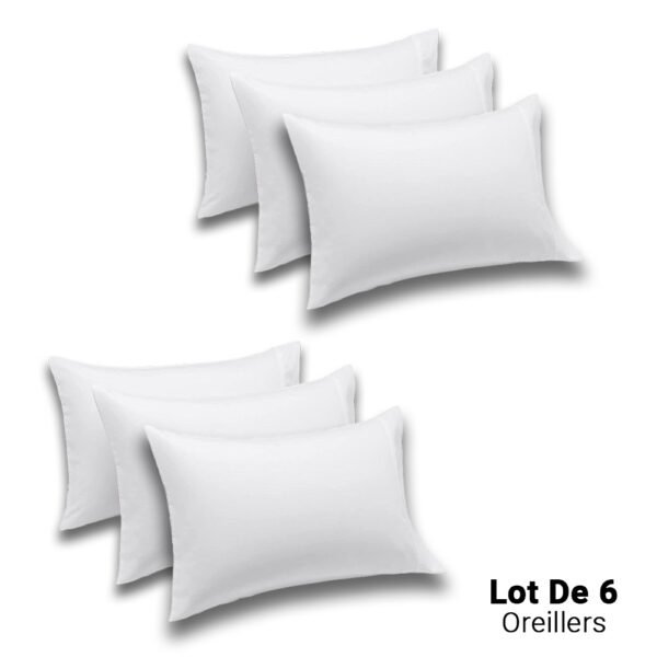 Lot de 6 Oreillers Orthopédiques Top Qualité Lavable